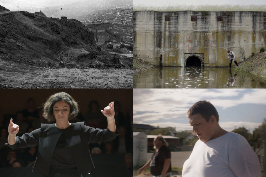 Films supported by the Institute of Documentary Film succeeded at Ji.hlava IDFF