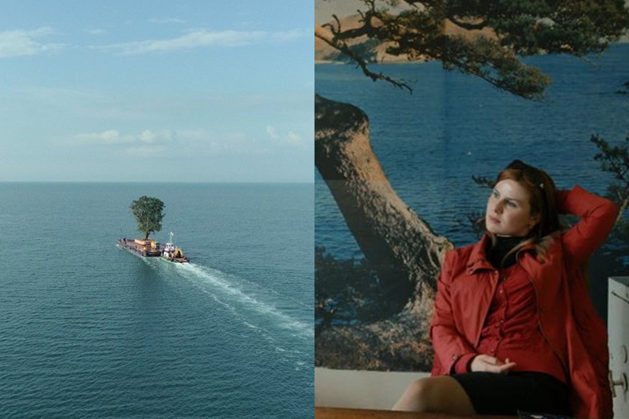 KineDok online screening: Taming the Garden + The Dazzling Light of Sunset