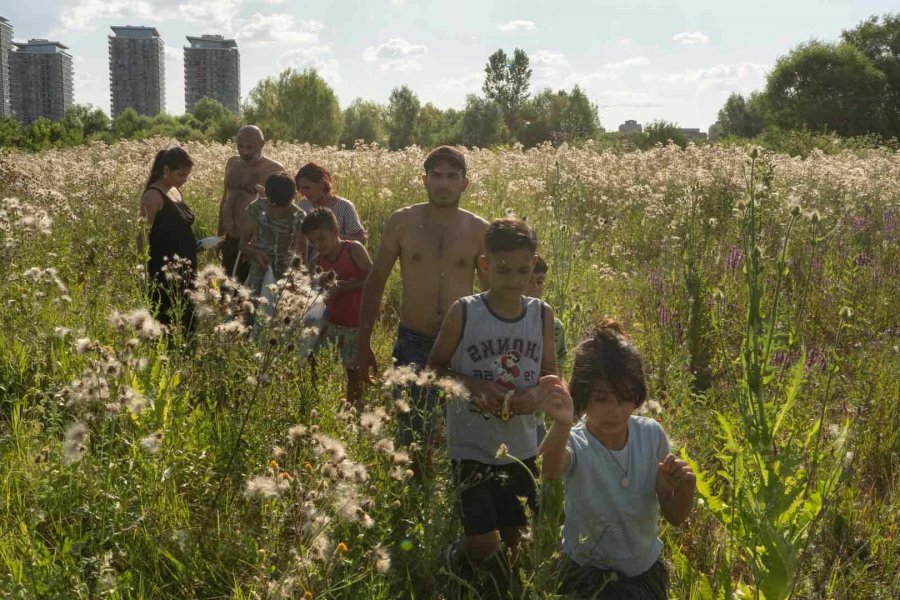KineDok presents a new collection of films