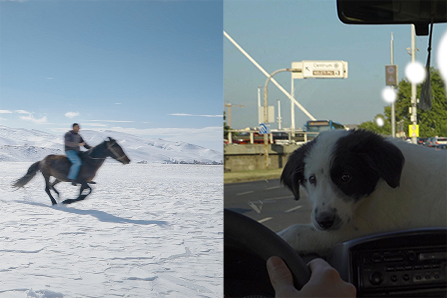 KineDok prepares twelve new documentary films on VOD for free