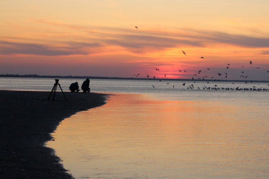 Lagoons. A Battle for Paradise is the winner of East Doc Platform