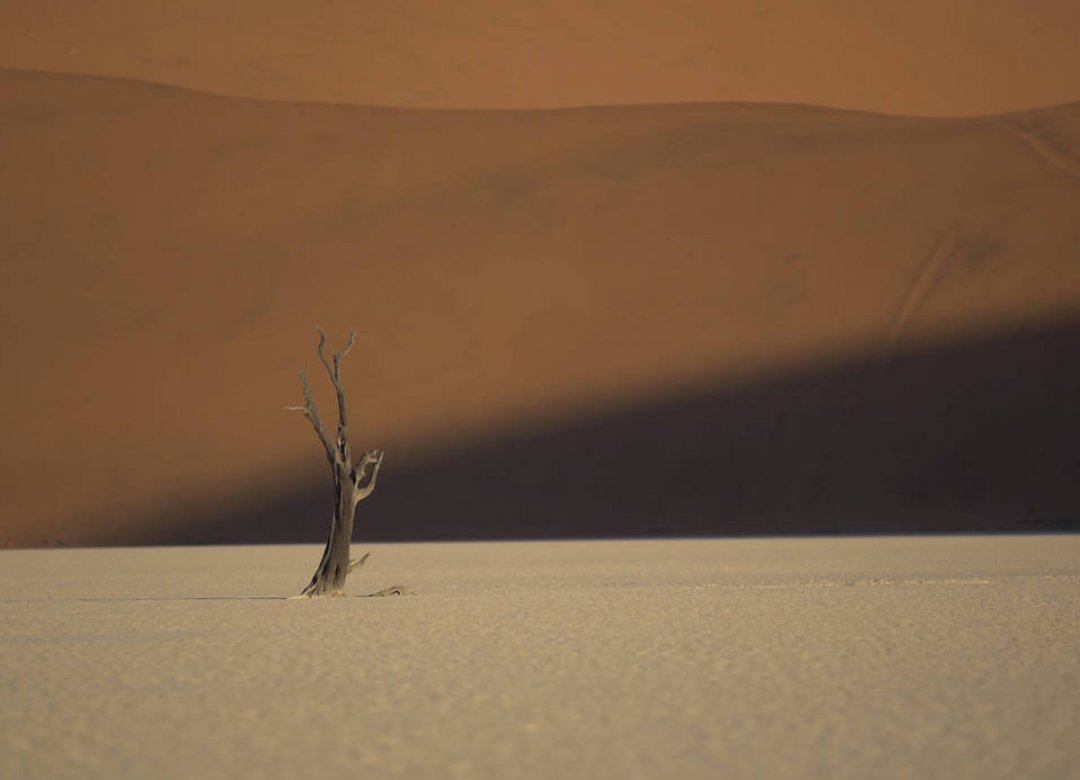 In Praise of Nothing