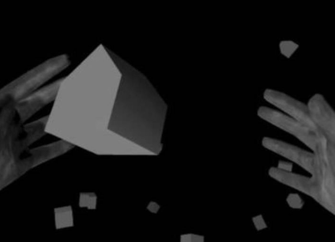 Control Negative