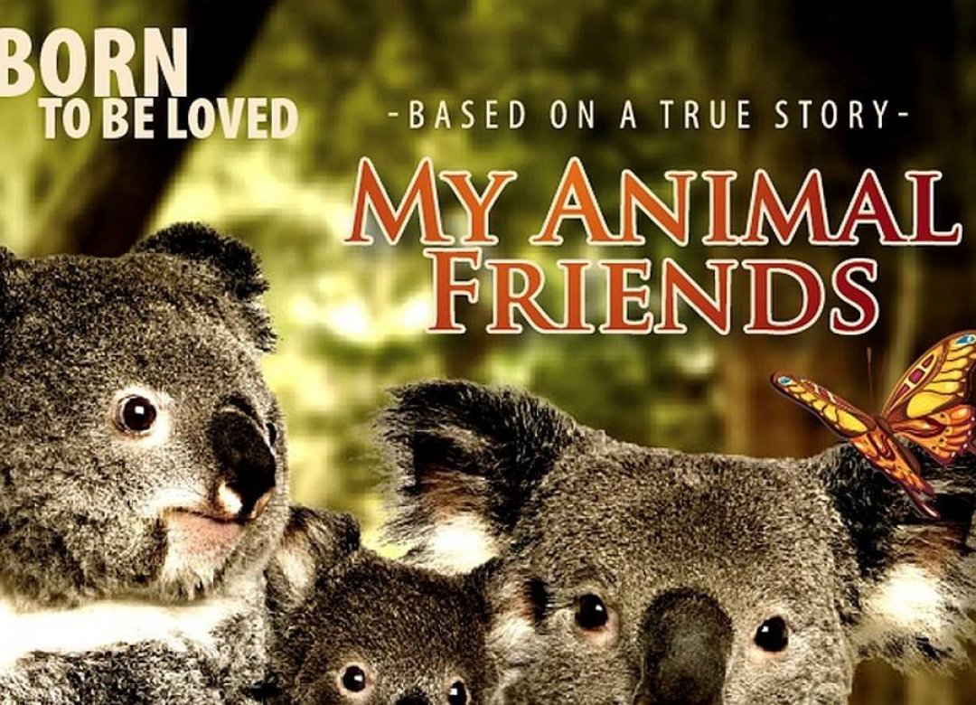 My Animal Friends