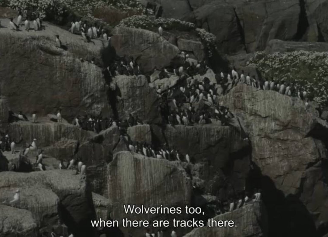 At the Edge of the World