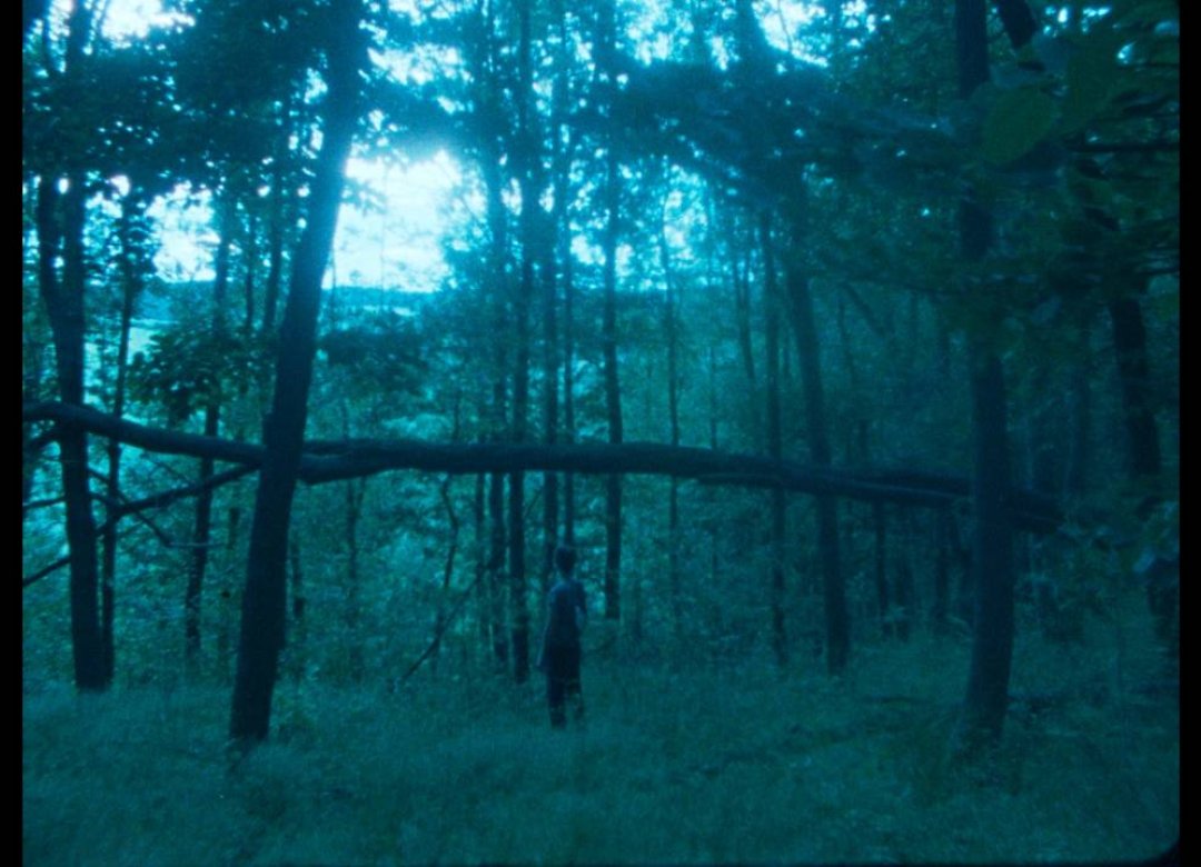Silence On the Path