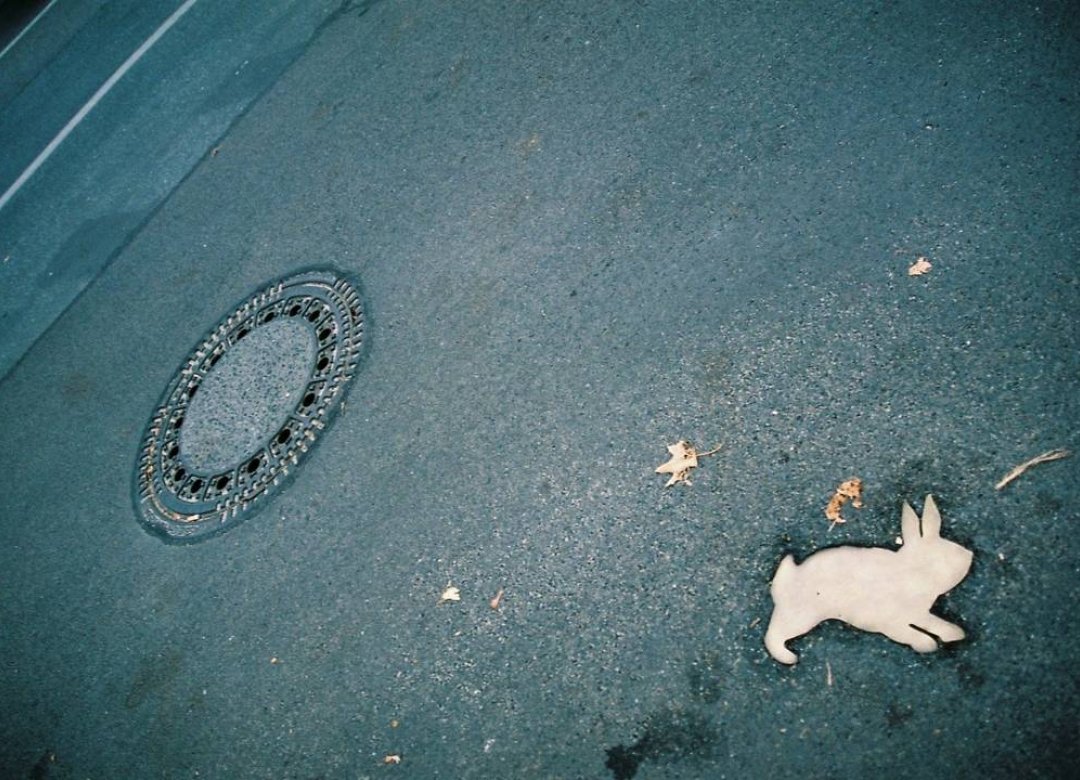 Rabbit a la Berlin