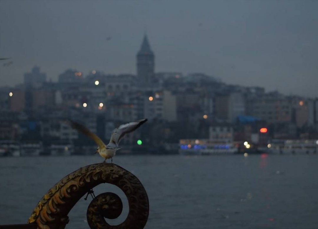 A Year in Exile