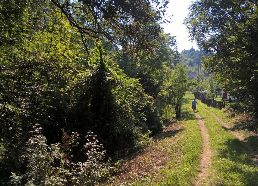 The Land