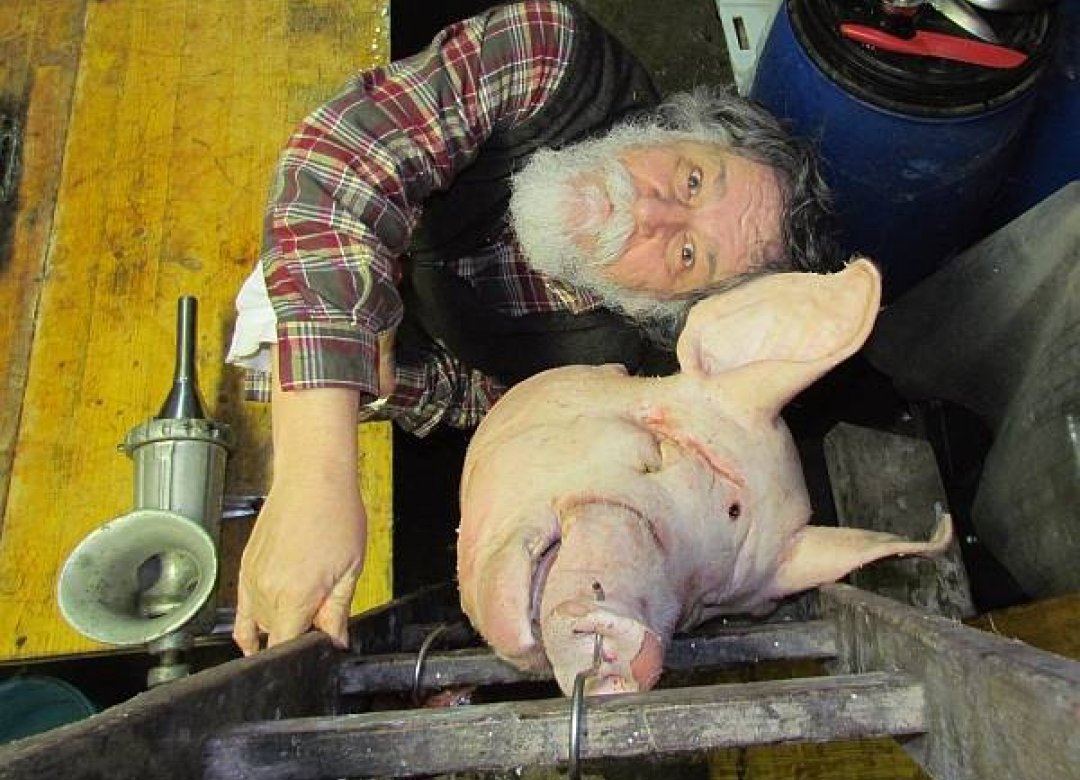 The Elderly Parasite or Who is Marko Brecelj?