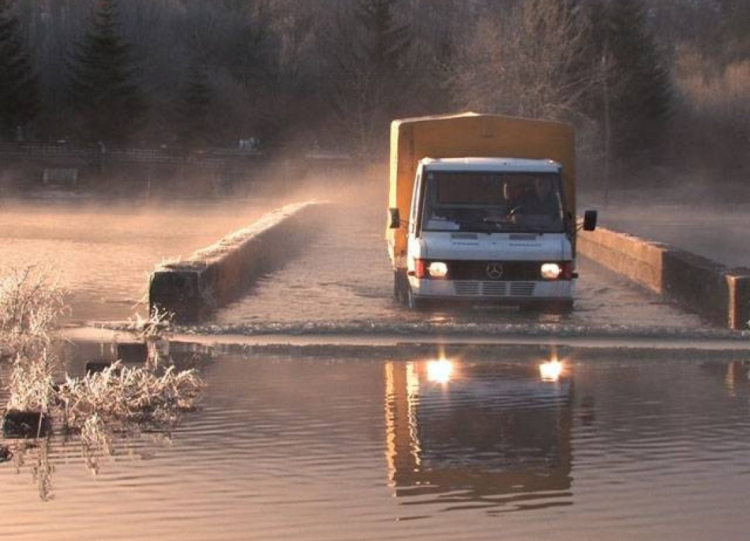 The Flood