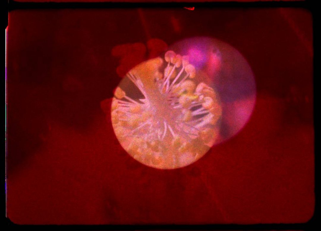Irradiation