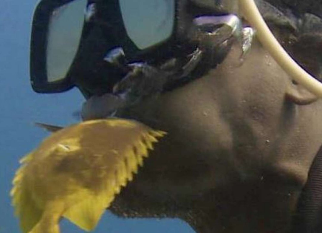 Walking Under Water