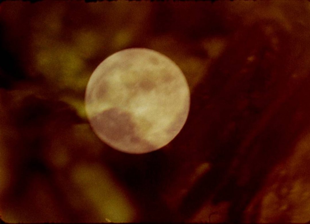 Lunar dances