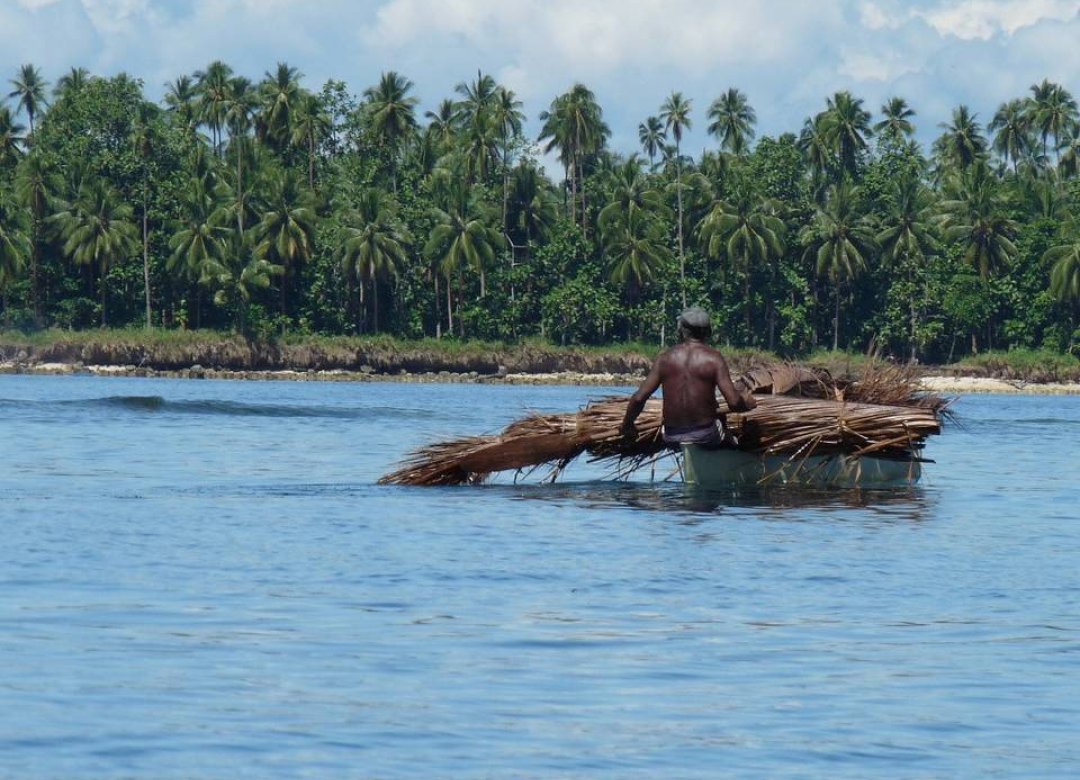 The Adventure of Tropical Ecology