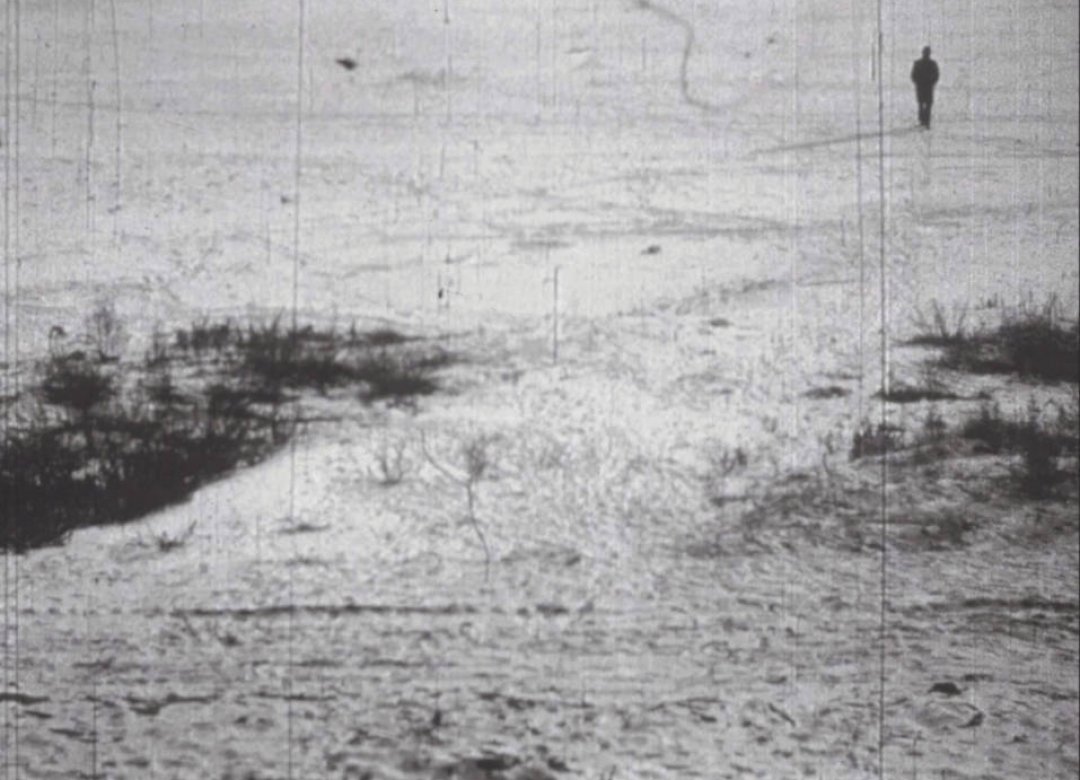 Alone With Snow