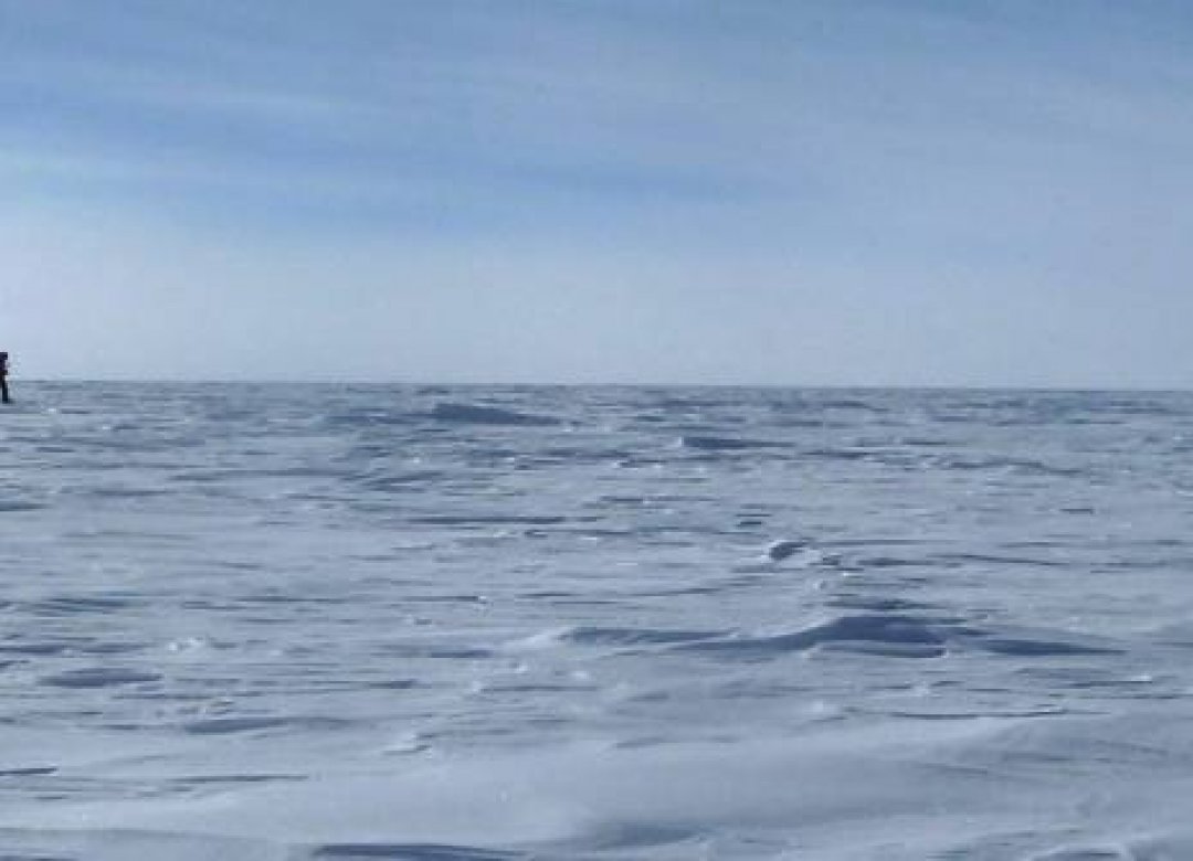The Polarman