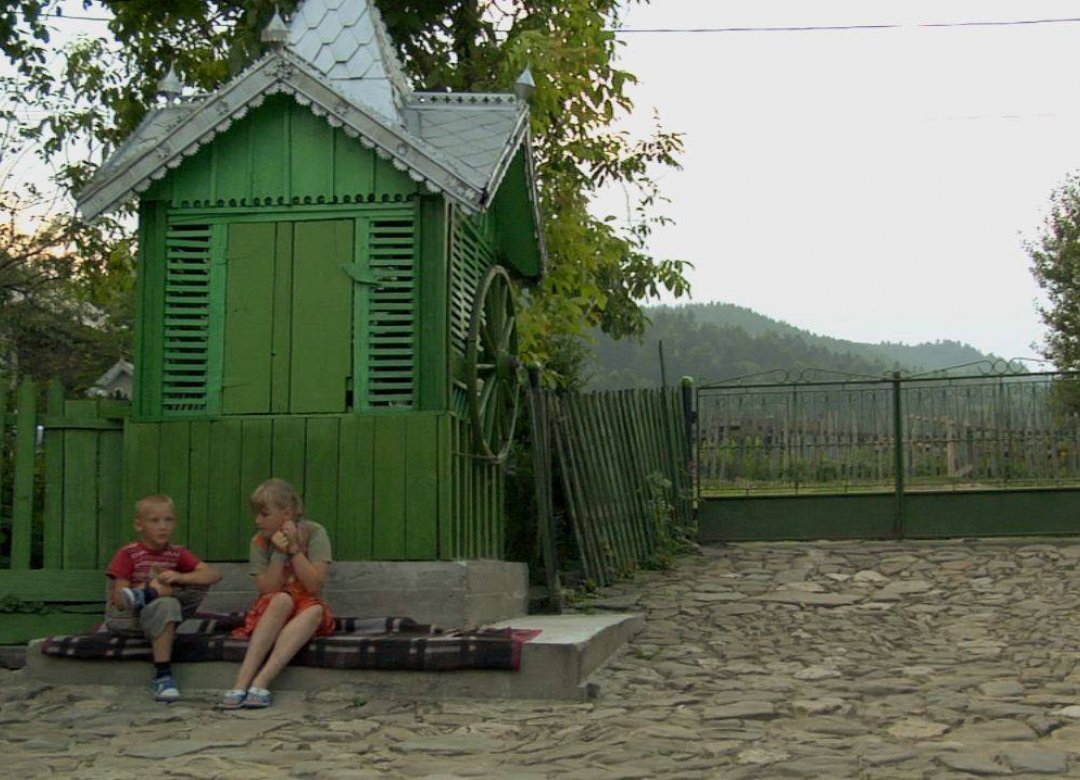 Summer with Mosquitoes