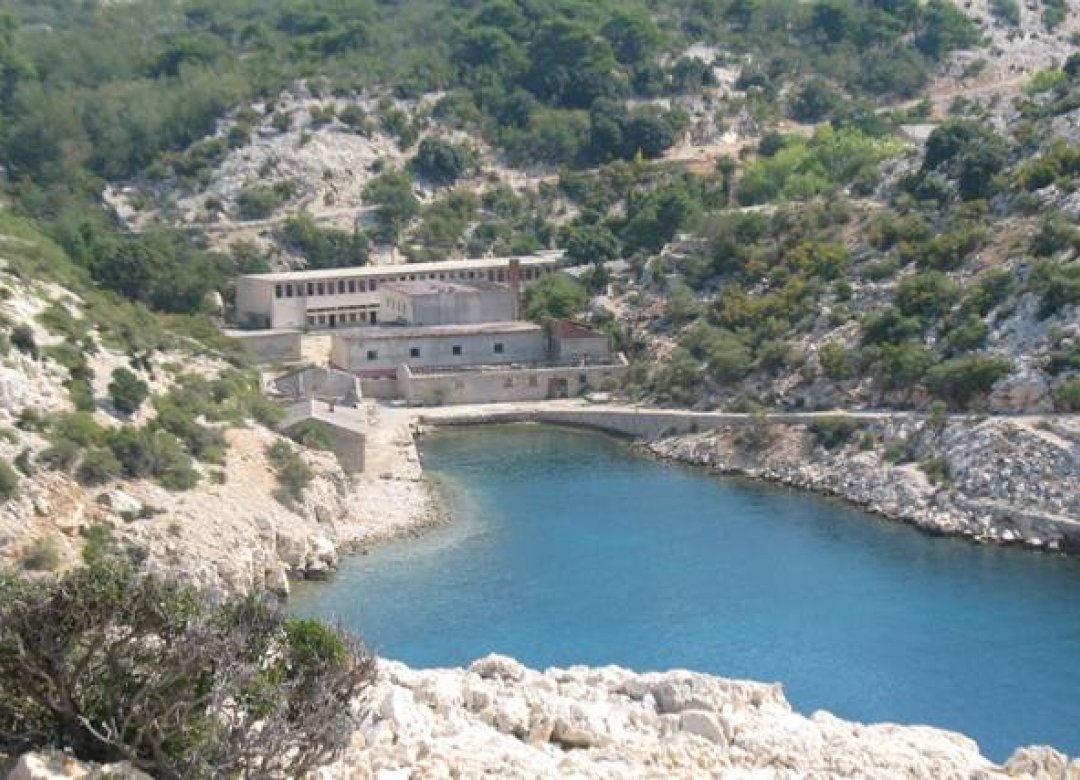 Naked Island