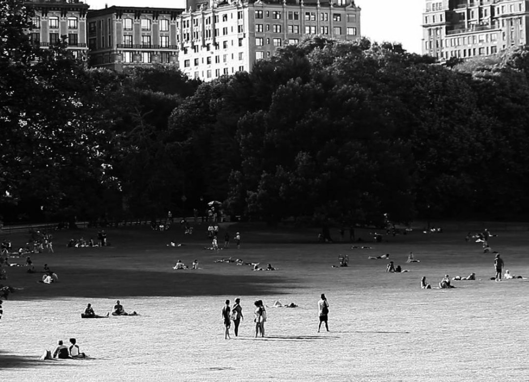 New York Notefilm