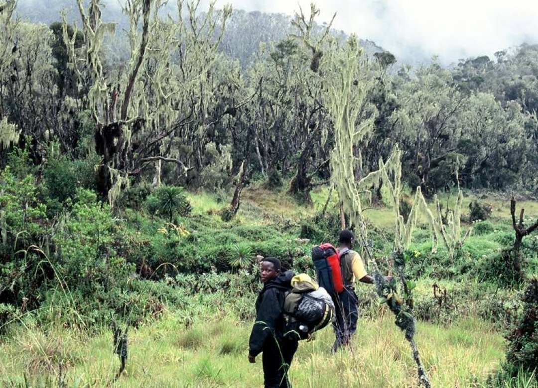 Mbambu and the Mountains of the Moon