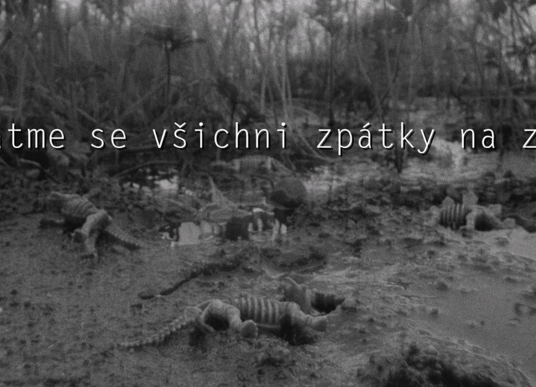 Vraťme se všichni zpátky na zem