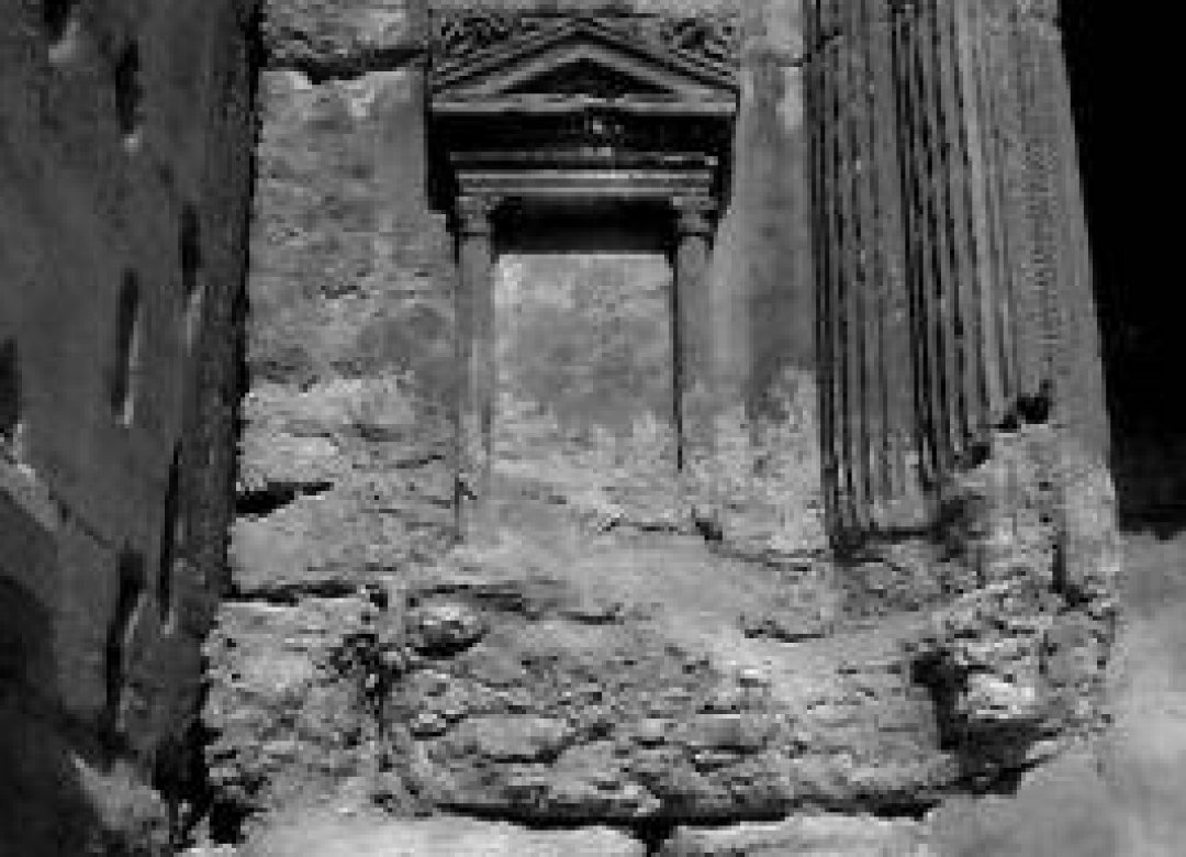 My Love in Palmyra