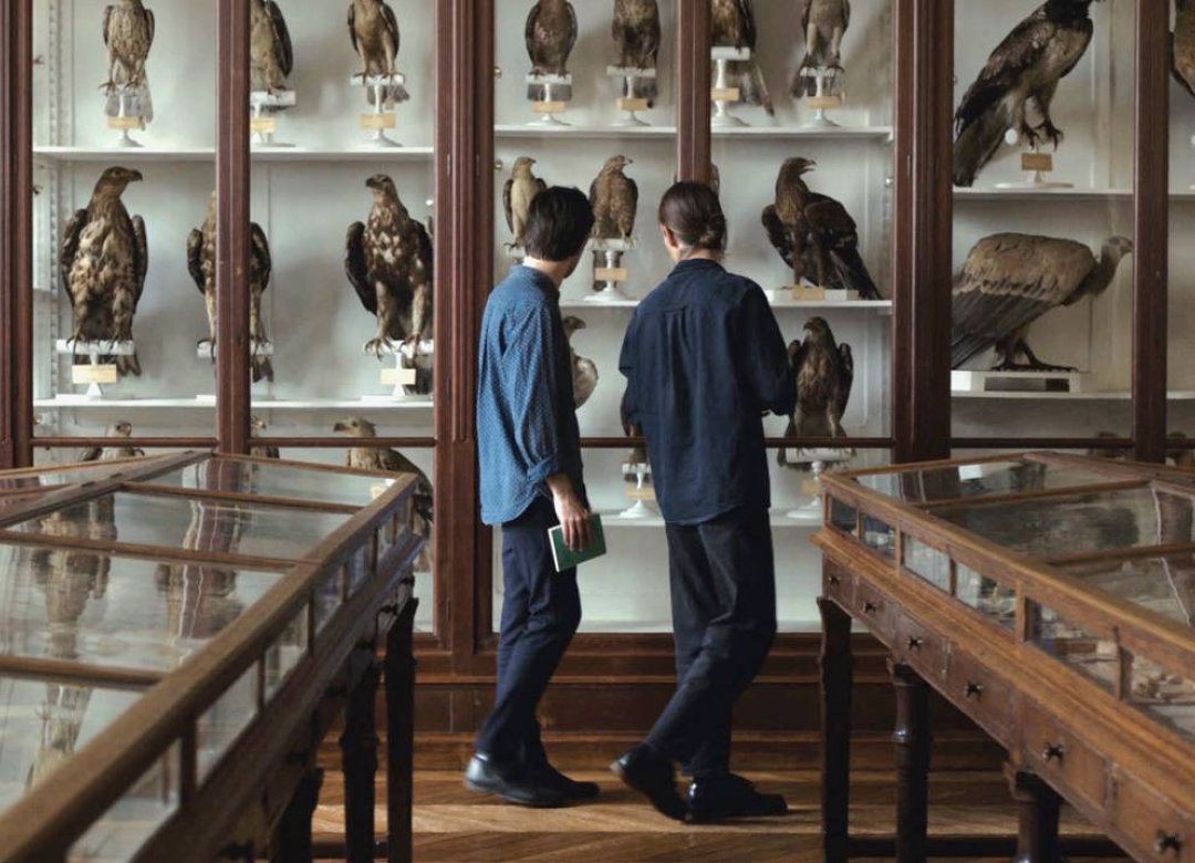 LANGUAGE OF THE BIRDS