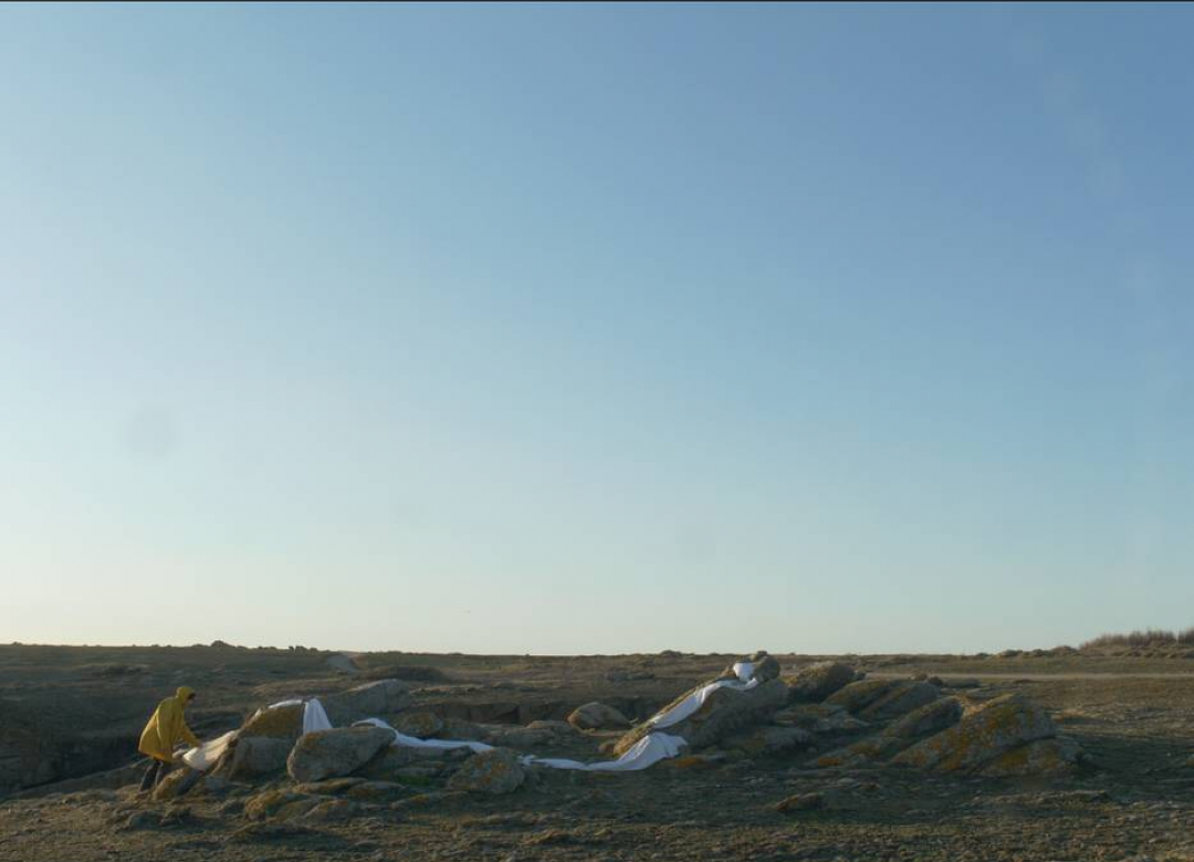 The Wilds
