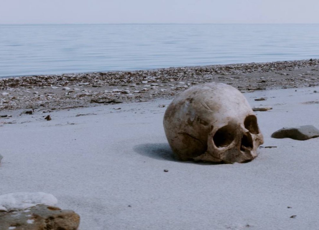 Washed Ashore