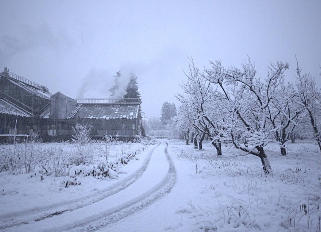 The Winter Garden's Tale