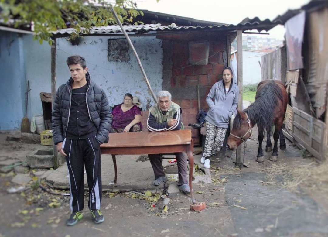 Paper, Horse, and Birds