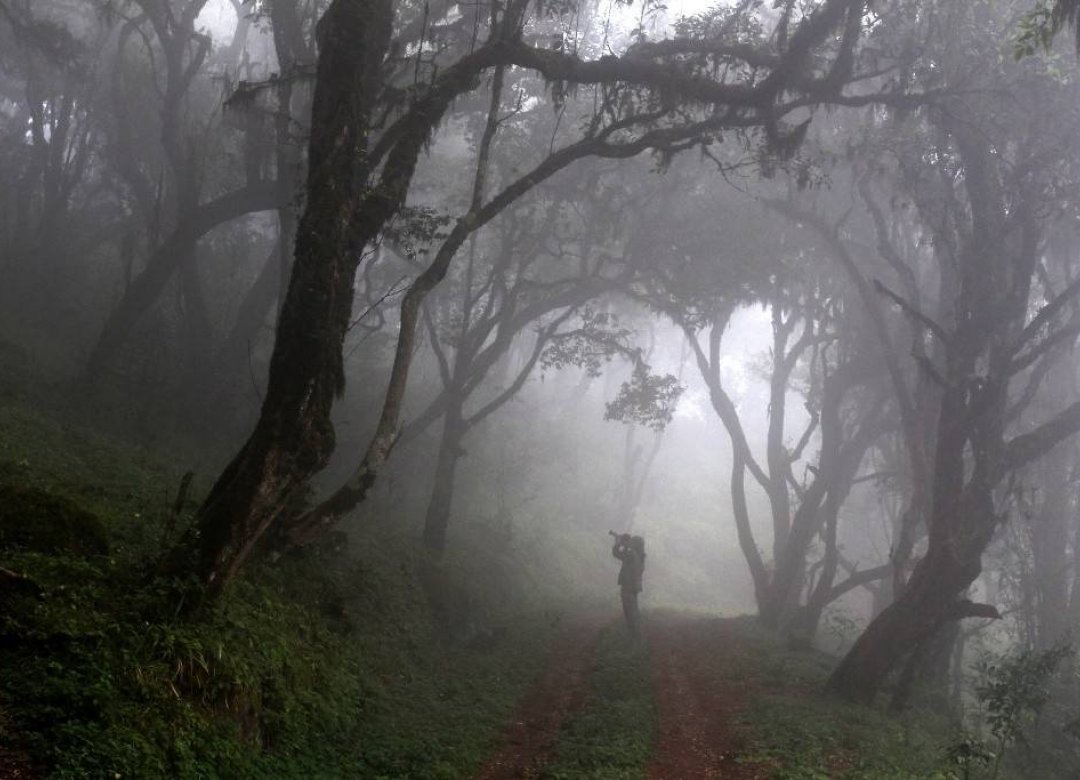 Africa Obscura