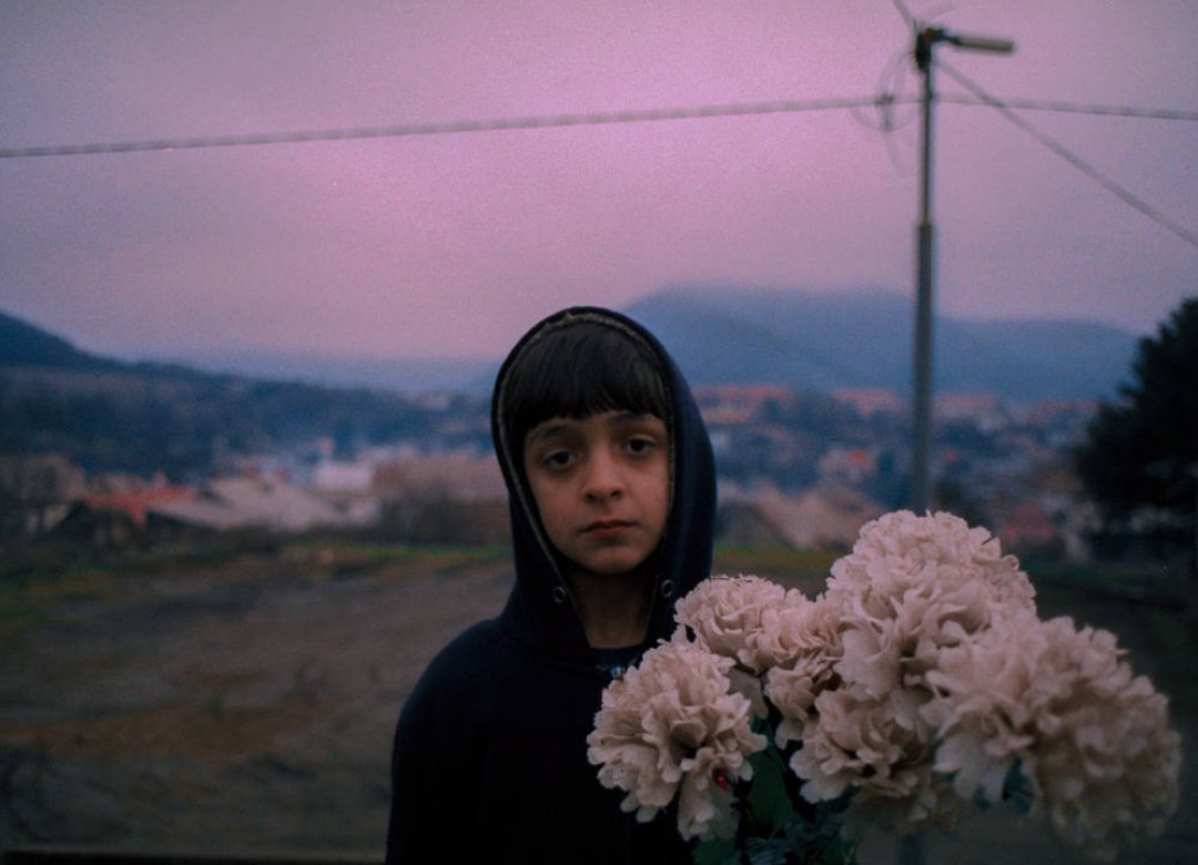 Children of the Moon Land