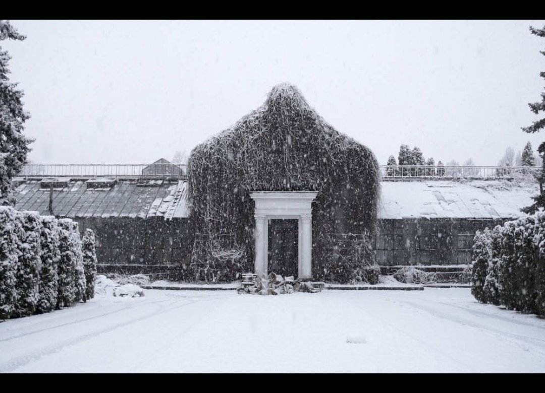 The Winter Garden's Tale