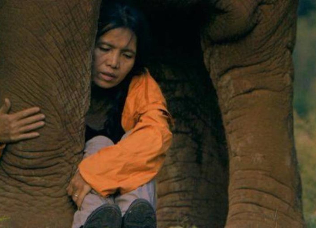 Elephant Mother