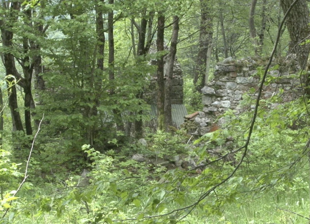 The New Wild: Life in the Abandoned Lands