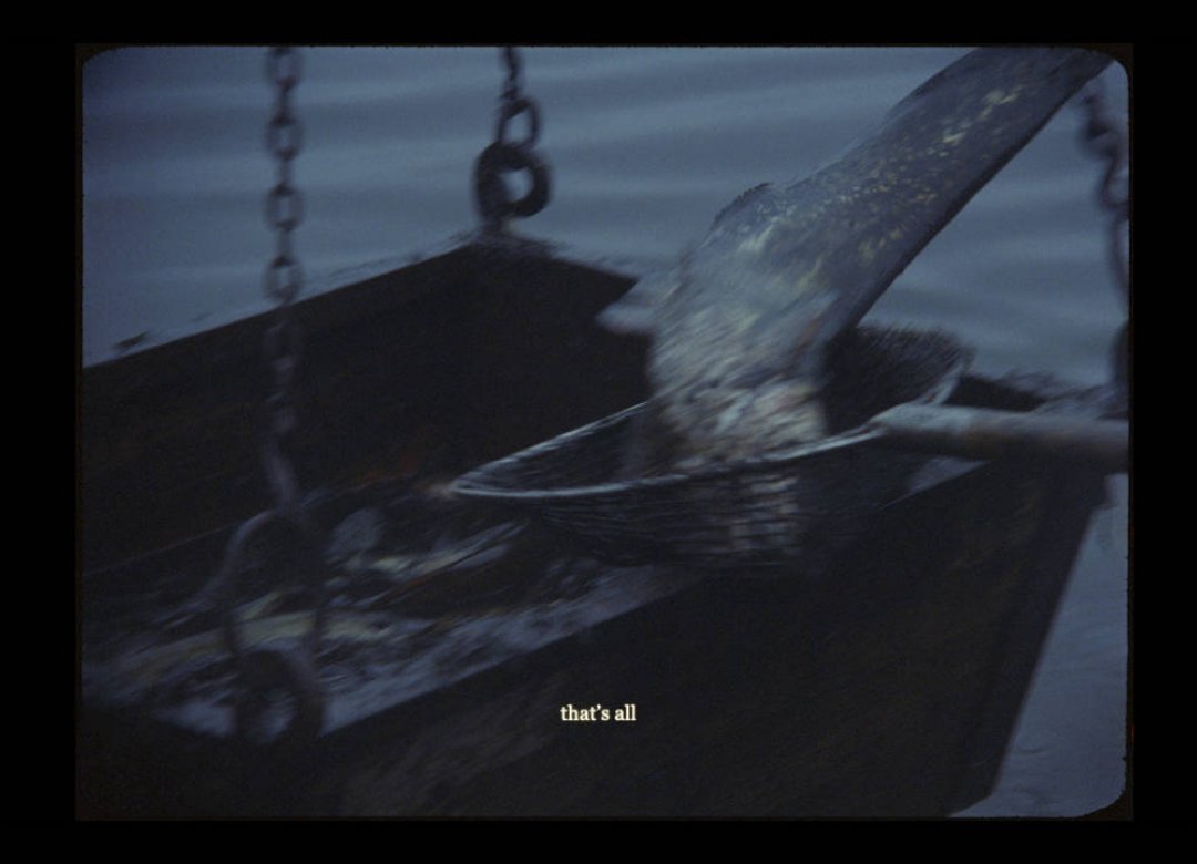 (***) fish