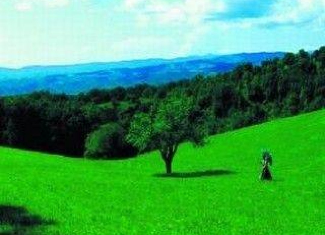 National Park