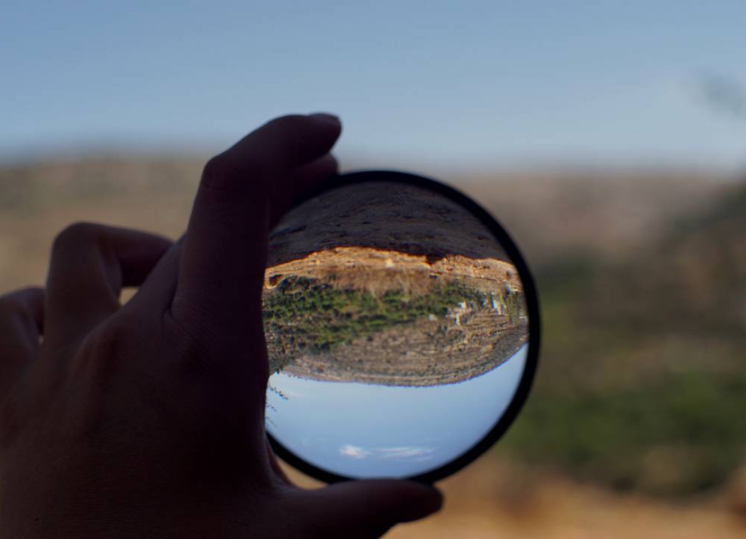 The Sun and the Looking Glass – for one easily forgets but the tree remembers