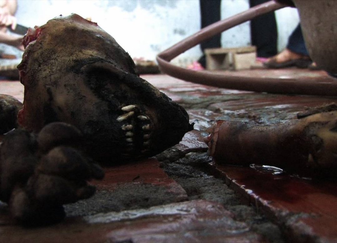 The  Northern Vietnam Is Cruel (The Ballad of the Singing Noodle)