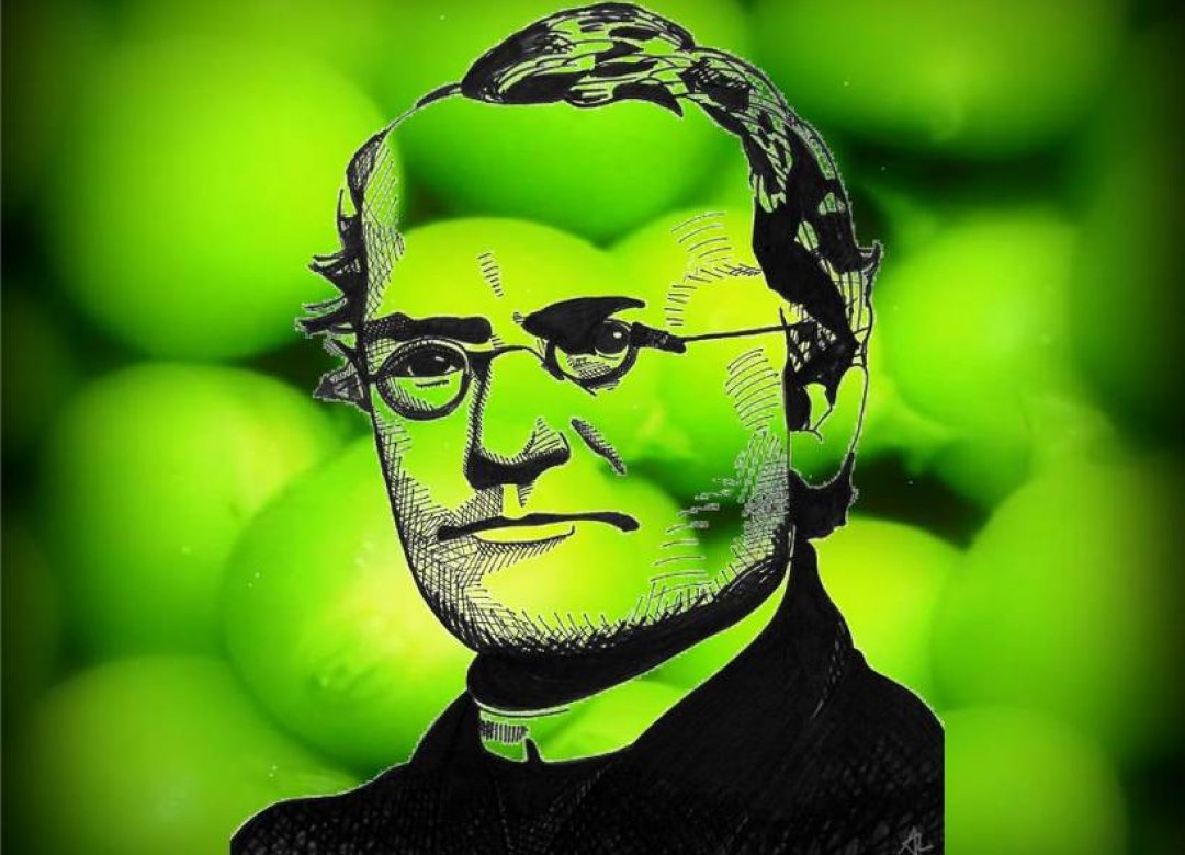 Mendel - the Father of Genetics