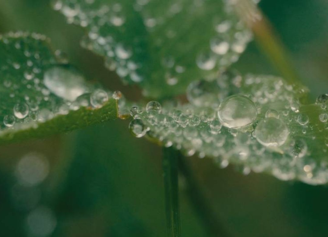 Portrait of Water