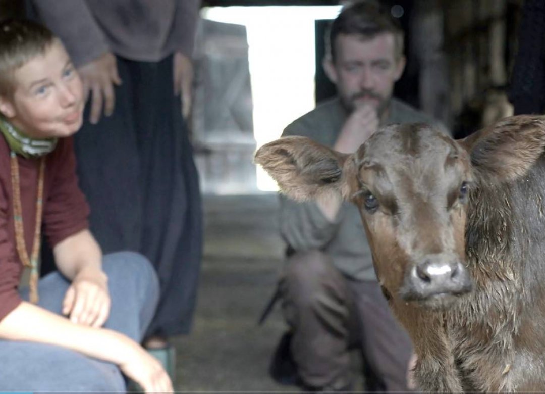 Village of Swimming Cows