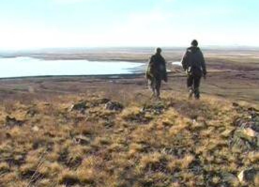 Walking on Gulagland - Angara