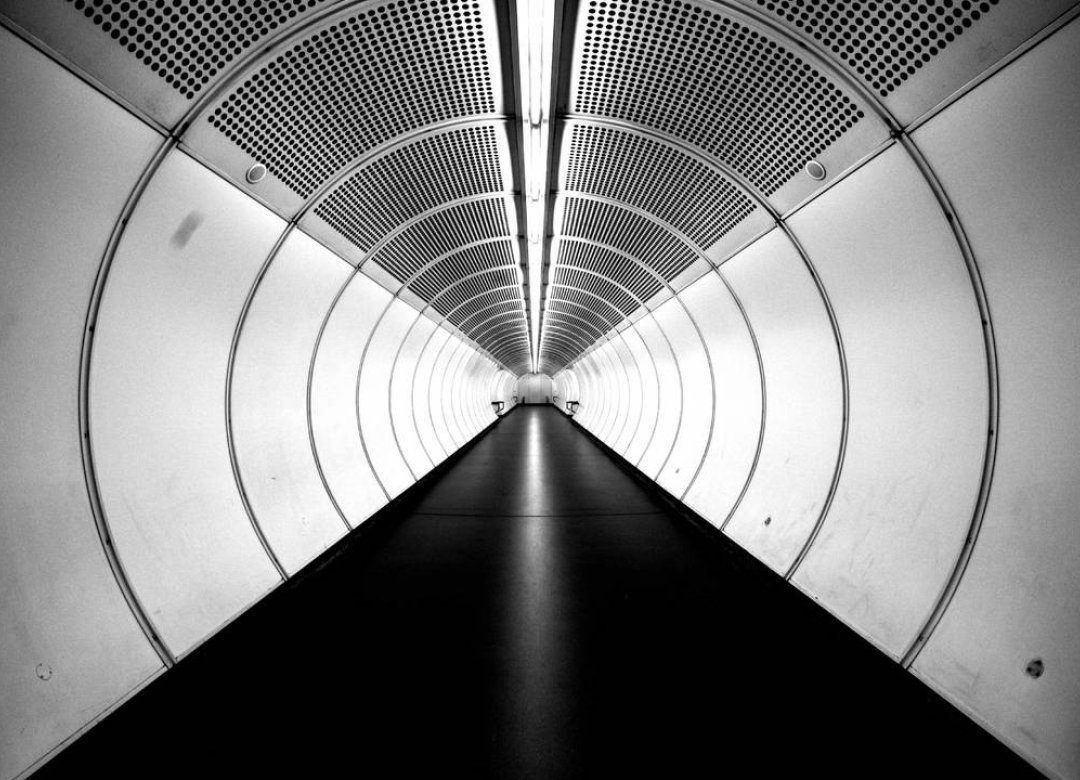 Metrocosmos