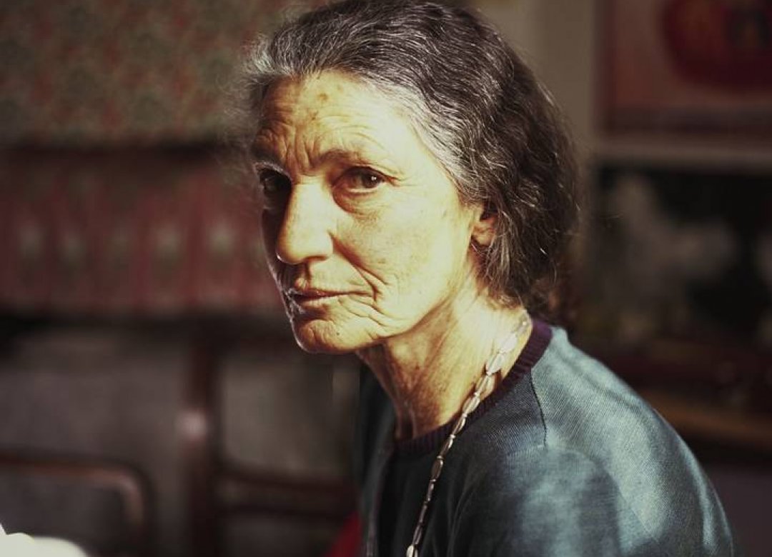 The Disappearance of My Mother