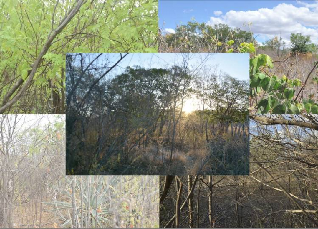 Nekácet!