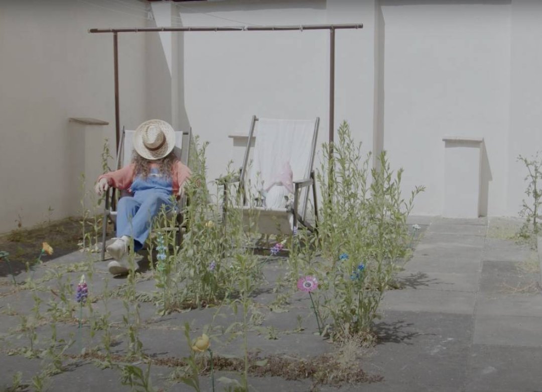 We Used to Have a Garden