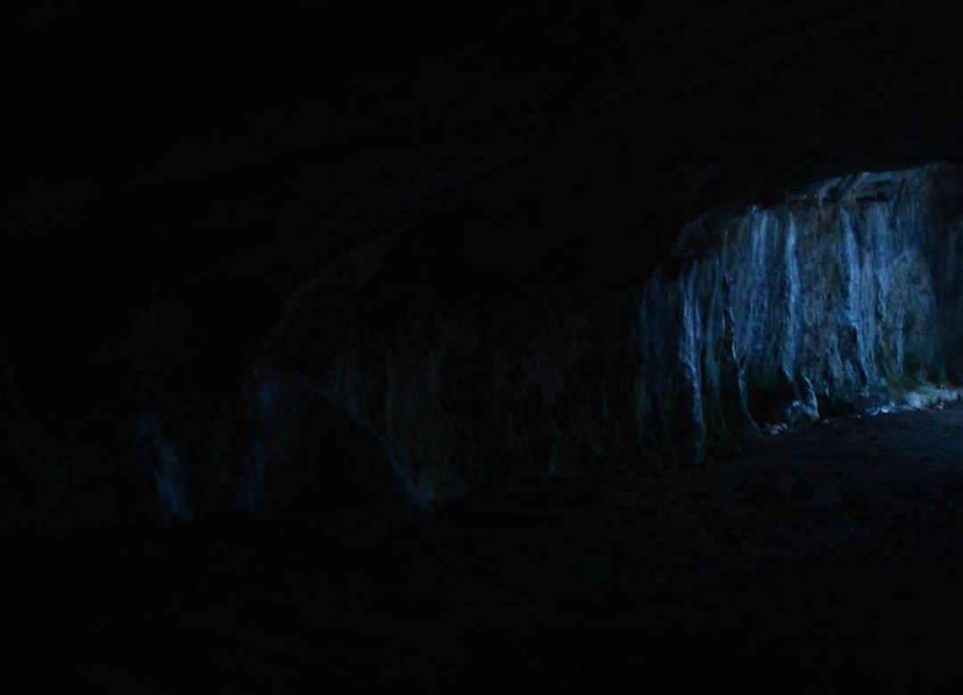 iris spelunca